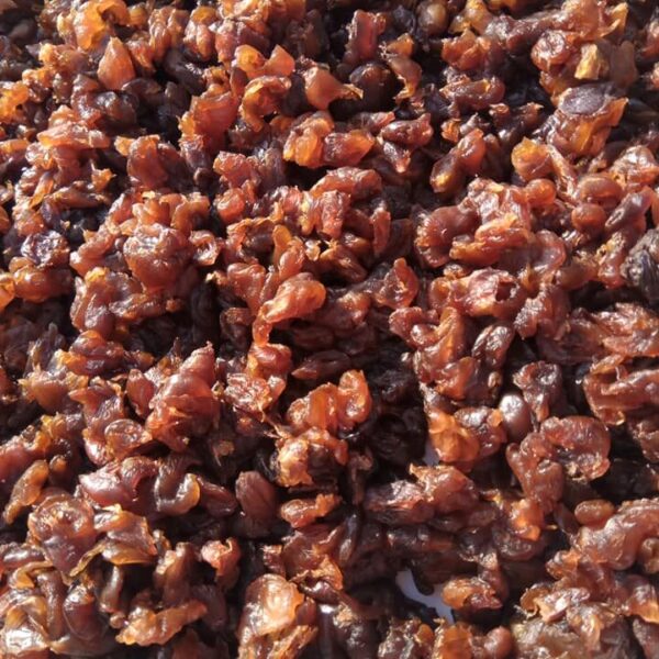 東山龍眼- 家。農場