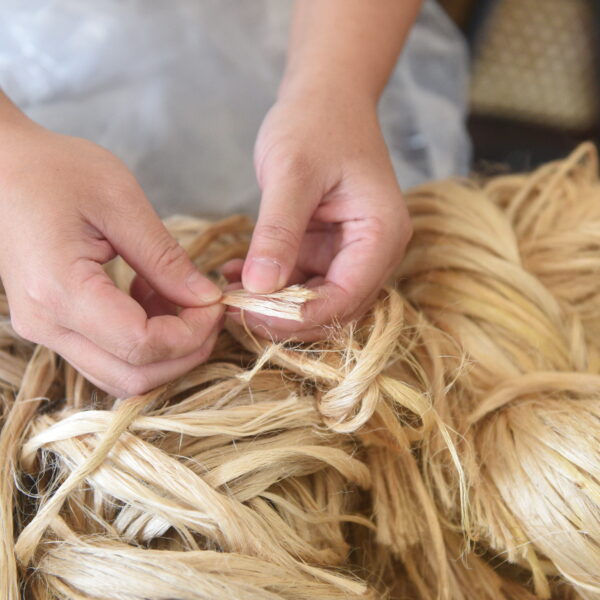 巧婦的纖維工藝與黃麻復育