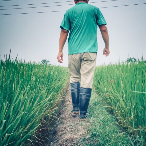 余承洋的自然農法實踐