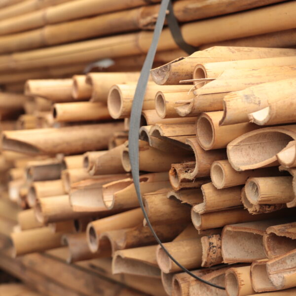 認識竹產業，利泰竹行見學